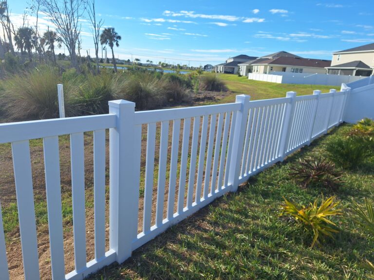 WhatsApp Image 2026-02-17 at 6.33.34 PM (5)