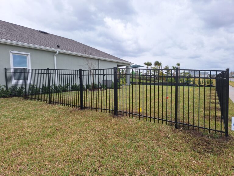 WhatsApp Image 2026-02-17 at 6.33.35 PM (6)