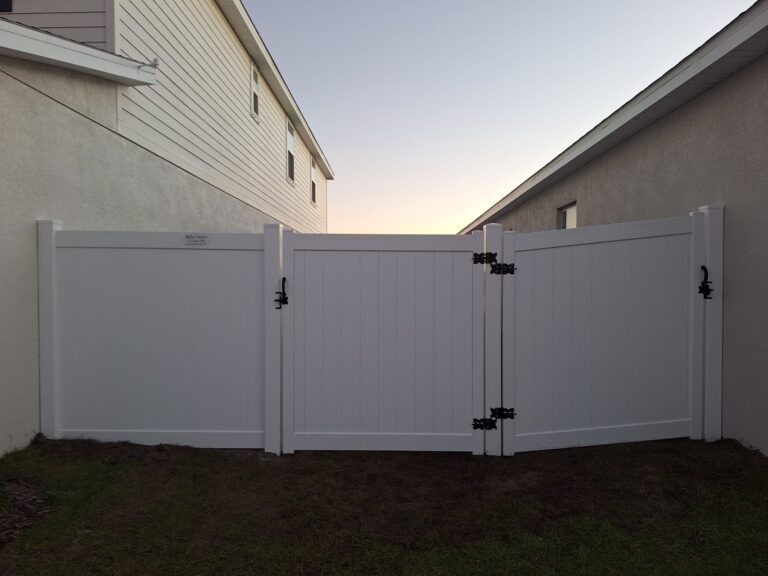 WhatsApp Image 2026-02-17 at 6.33.36 PM (3)