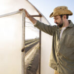 Chain Link vs Wood Fence in Tampa: Which Should You Pick?