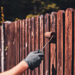 Wood Privacy Fence Tampa: The Ultimate Guide for Homeowners (2026)
