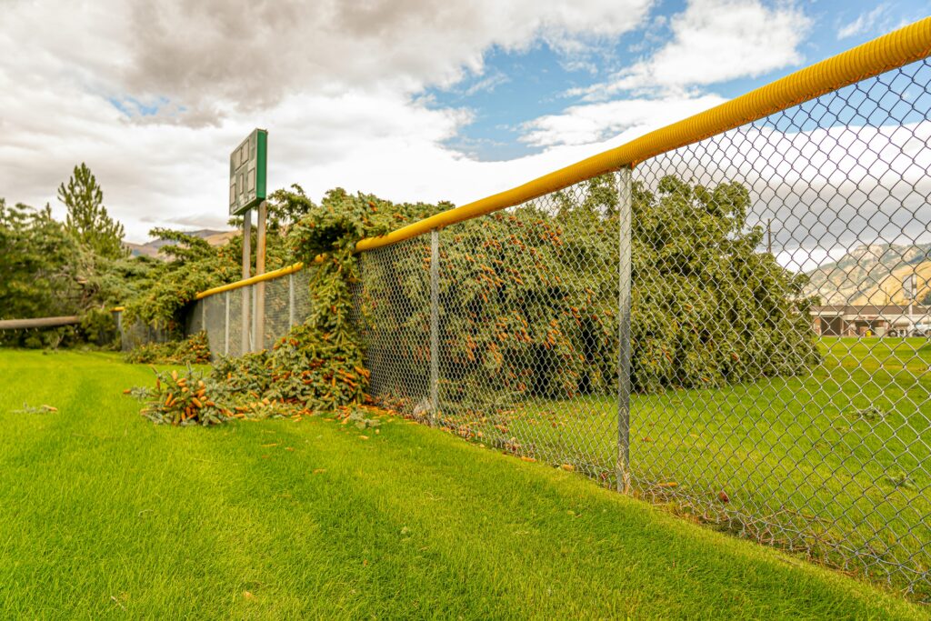 Tampa fence storm damage