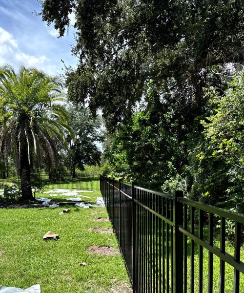 79E761EA-AE2A-4C7E-9F4D-5358AB8B6EF3 (1)